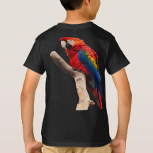 papagaios na árvore