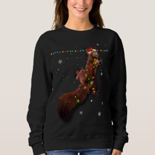 Camiseta Papais noeis Bons De Esquilo De Natal Luzes Engraç