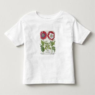 Camiseta Papoilas decorativas, 'do Hortus o Eystettensis