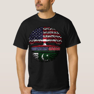 Camiseta Paquistão paquistanês EUA americano USA Estados Un