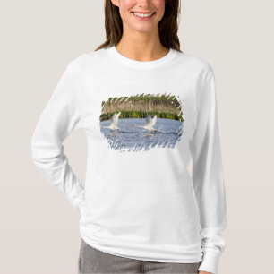 Camiseta Par reprodutor de cisnes da tundra decolando para