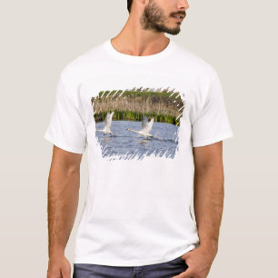 Camiseta Par reprodutor de cisnes da tundra decolando para
