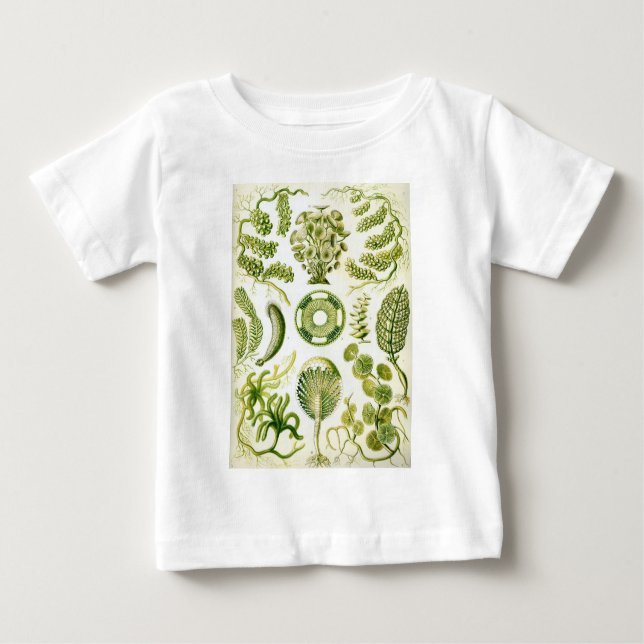 Camiseta Para Bebê Alga e algas do Siphoneae de Ernst Haeckel (Frente)
