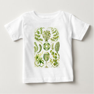 Camiseta Para Bebê Algas verdes