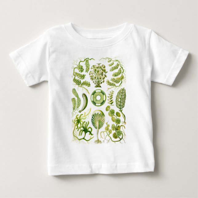 Camiseta Para Bebê Algas verdes (Frente)