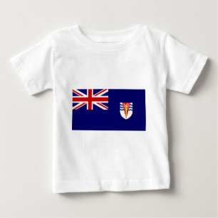 Camiseta Para Bebê Bandeira do governo do Territo antárctico