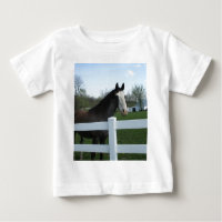 Cavalo, Bom Dia!