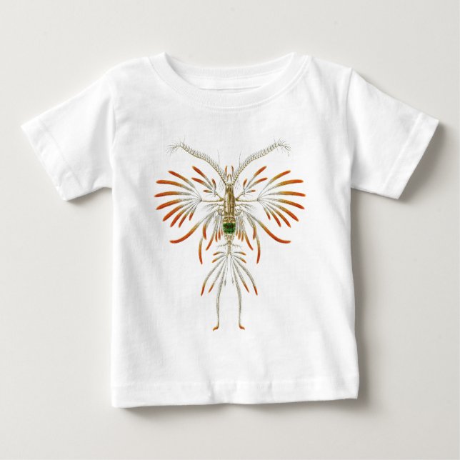 Camiseta Para Bebê Filigerus de Augaptilus (Frente)