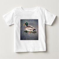 Foto ao quadrado - Pato de Mallard