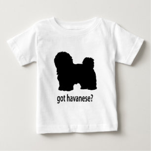 Camiseta Para Bebê Got Havanese