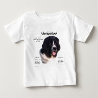 Landseer, História da Terra Nova; Eu adoro Novos