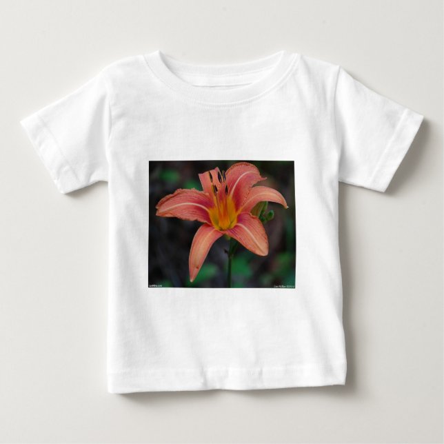 Camiseta Para Bebê Lindos Artigos e Presentes de Hemerocallis Cor de  (Frente)