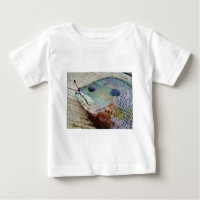 louro-roxo-azul, peixe-azul-anjo no cais