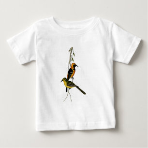 Camiseta Para Bebê Pássaro encapuçado de Oriole do vintage