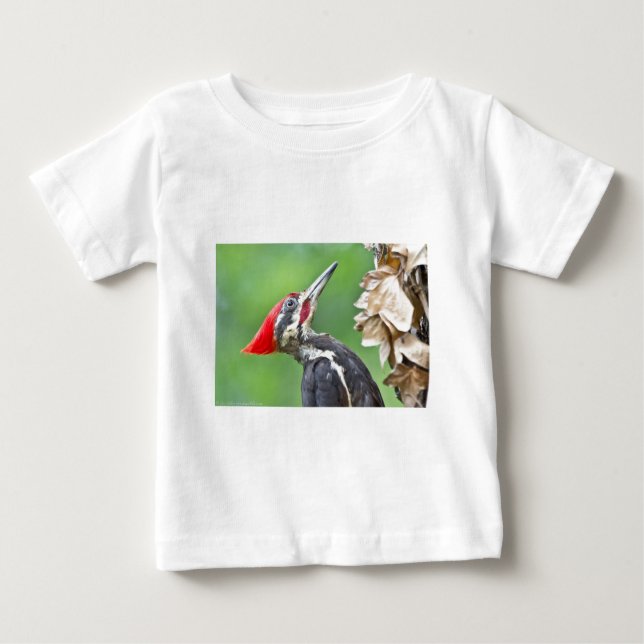 Camiseta Para Bebê Perfil de Pica-Pau Pileado Juvenil Oferece Roupa (Frente)
