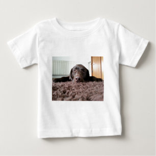 Camiseta Para Bebê um adorável cachorrinho lab chocolate dormindo em