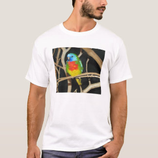 Camiseta Parakeet Escarlate-Chested - splendida de Neophema