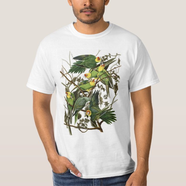 Camiseta Parakeets de Carolina de Audubon (Frente)