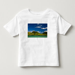 Camiseta Paraseando dentro da visualização do impressiona