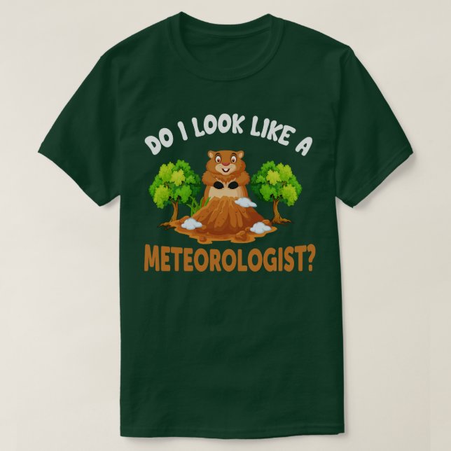 Camiseta Pareço Um Meteorologista? (Frente do Design)