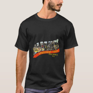 Camiseta Parque de Diversões Palisades Nova Jersey