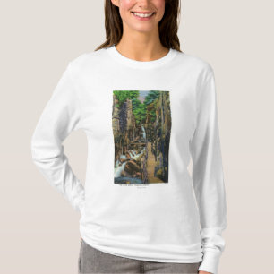Camiseta Parque estadual 2 do entalhe de Franconia