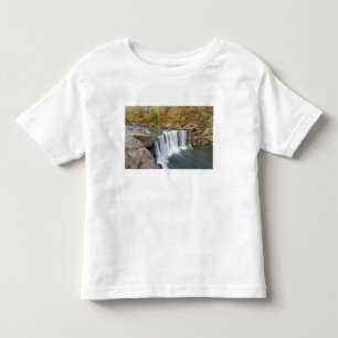 Camiseta Parque Estadual Cumberland Falls perto de Corbin K