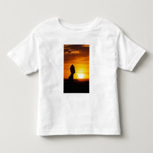 Camiseta Parque Nacional Arches, UT Balance Rock em