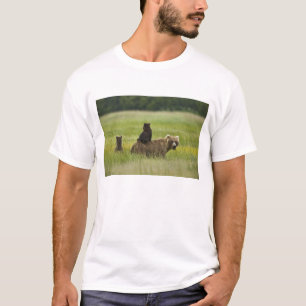 Camiseta Parque nacional de Clark dos EUA, Alaska, lago. A