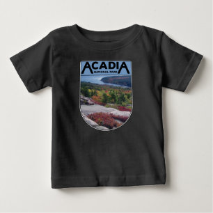 Camiseta Parque Nacional do Maine Island Retro Vintage Acad