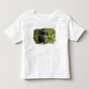 Camiseta Parque Nacional dos Vulcões, Gorila da Montanha