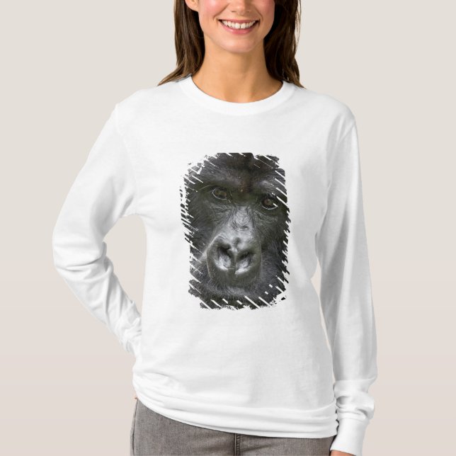 Camiseta Parque Nacional dos Vulcões, Ruanda, Gorilas da Mo (Frente)