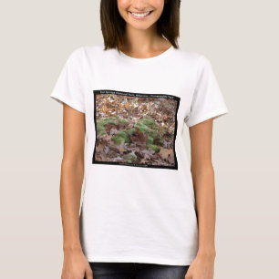 Camiseta Parque Nacional Hot Springs, AR - Trilha Honeysuck