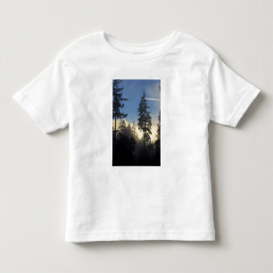 Camiseta Parque Stanley, floresta, nevoeiro da camada marin