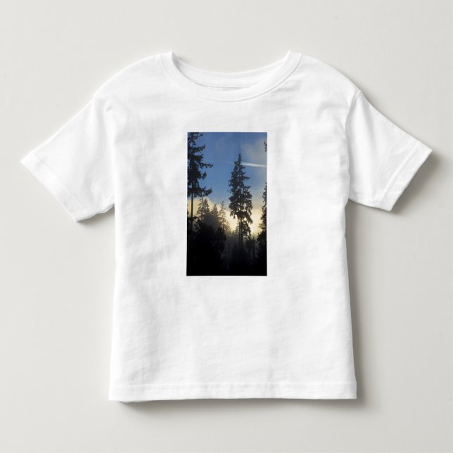 Camiseta Parque Stanley, floresta, nevoeiro da camada marin (Frente)