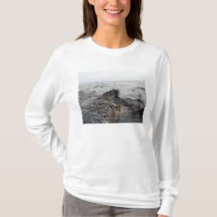 Camiseta Parte de um liso de óleo no Golfo do México