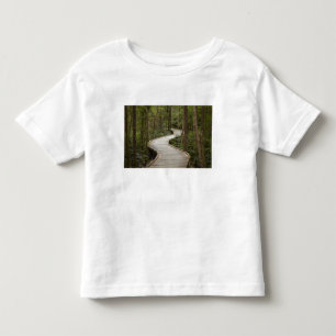 Camiseta Passarela para Nelson Falls, Franklin - Gordon