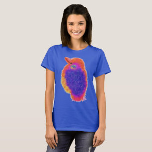 Camiseta Pássaro arco-íris simcha