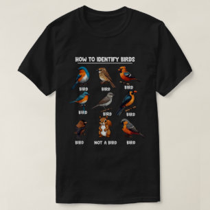 Camiseta Pássaro Como Identificar Pássaros Alojando