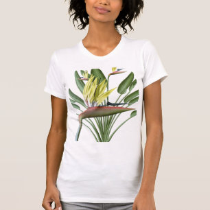Camiseta Pássaro de paraíso