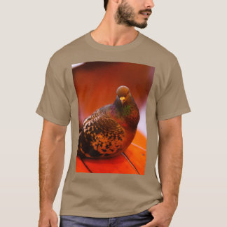 Camiseta PÁSSARO DE PIGÃO COM FOME À ESPERA DE UMA Fotograf