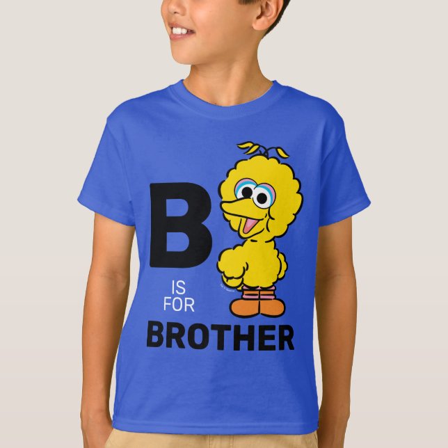 Camiseta Pássaro Grande | B é de Brother (Frente)