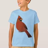 Pássaro masculino cardinal vermelho