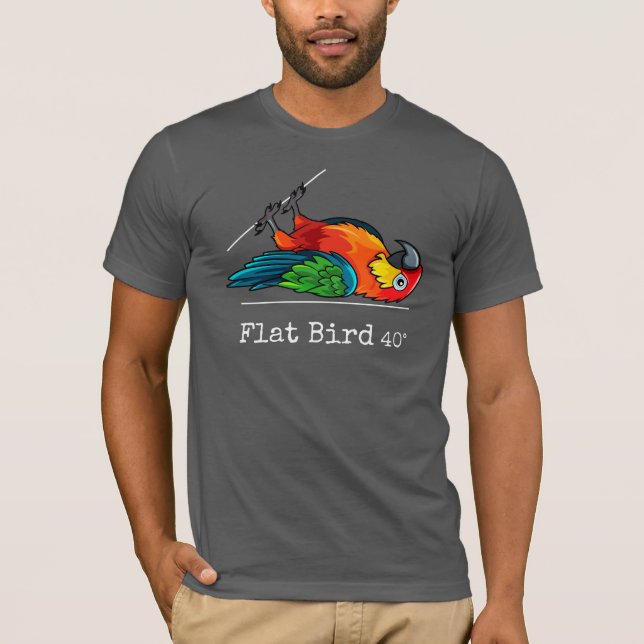 Camiseta Pássaro Plano a 40 graus, divertido, colorido (Frente)
