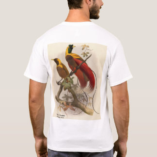 Camiseta Pássaro Vermelho do Paraíso, trabalho de arte fren