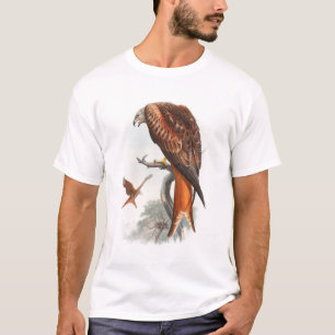 Camiseta Pássaros de John Gould do falcão de Glead do