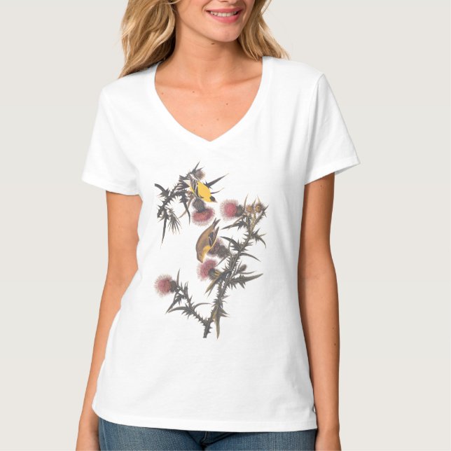Camiseta Pássaros Goldfinch Americanos (Frente)