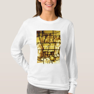 Camiseta Passover judaico, de Provins