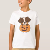 Pastor Australiano Em Pumpkin Cute Happy