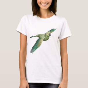 Camiseta Patagónio Conure